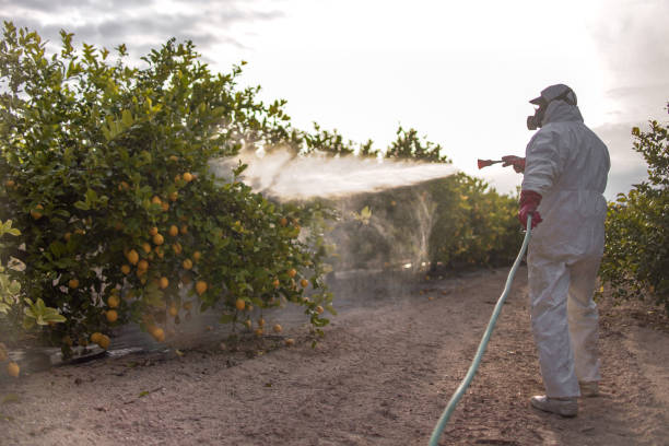 Professional Pest Control in Ontario, CA